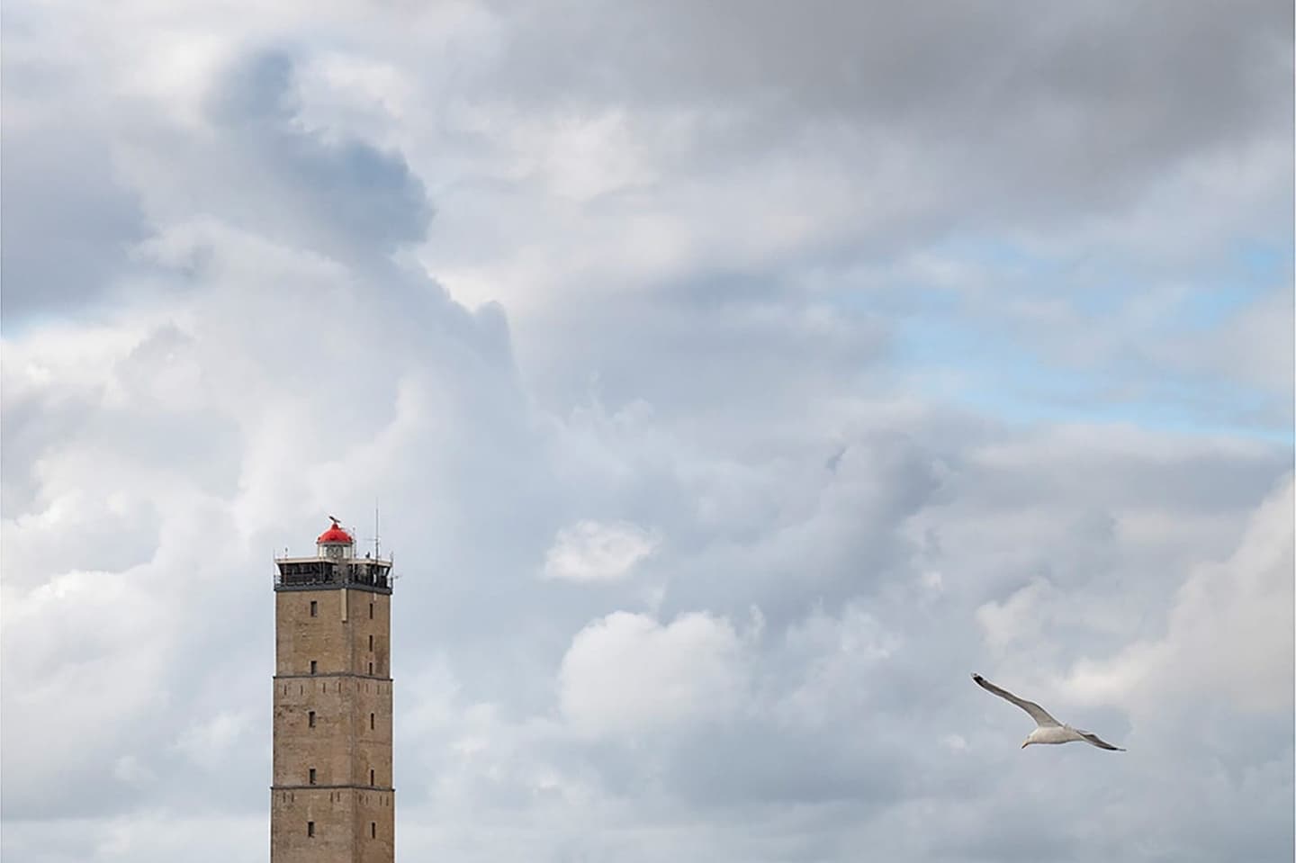 Terschelling eilandlandschap, vakantieverhuur Waddeneiland