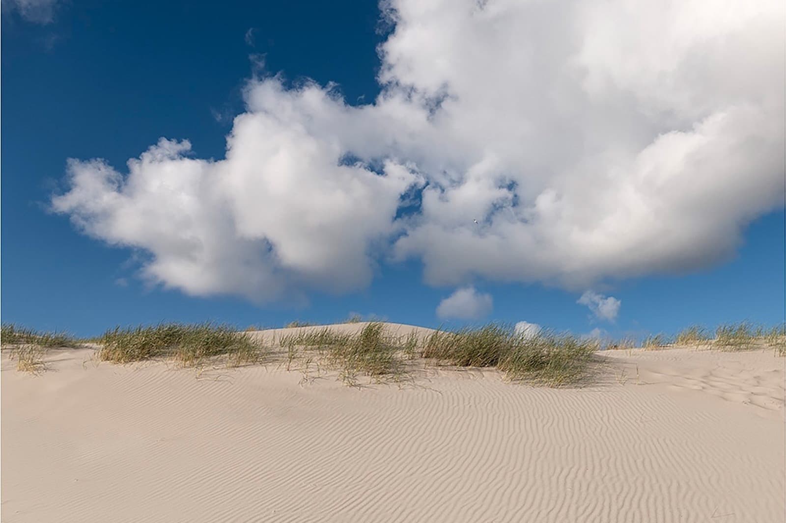 Duinen Terschelling, wandeling vanuit vakantiehuis Apenstaartje Midsland aan Zee