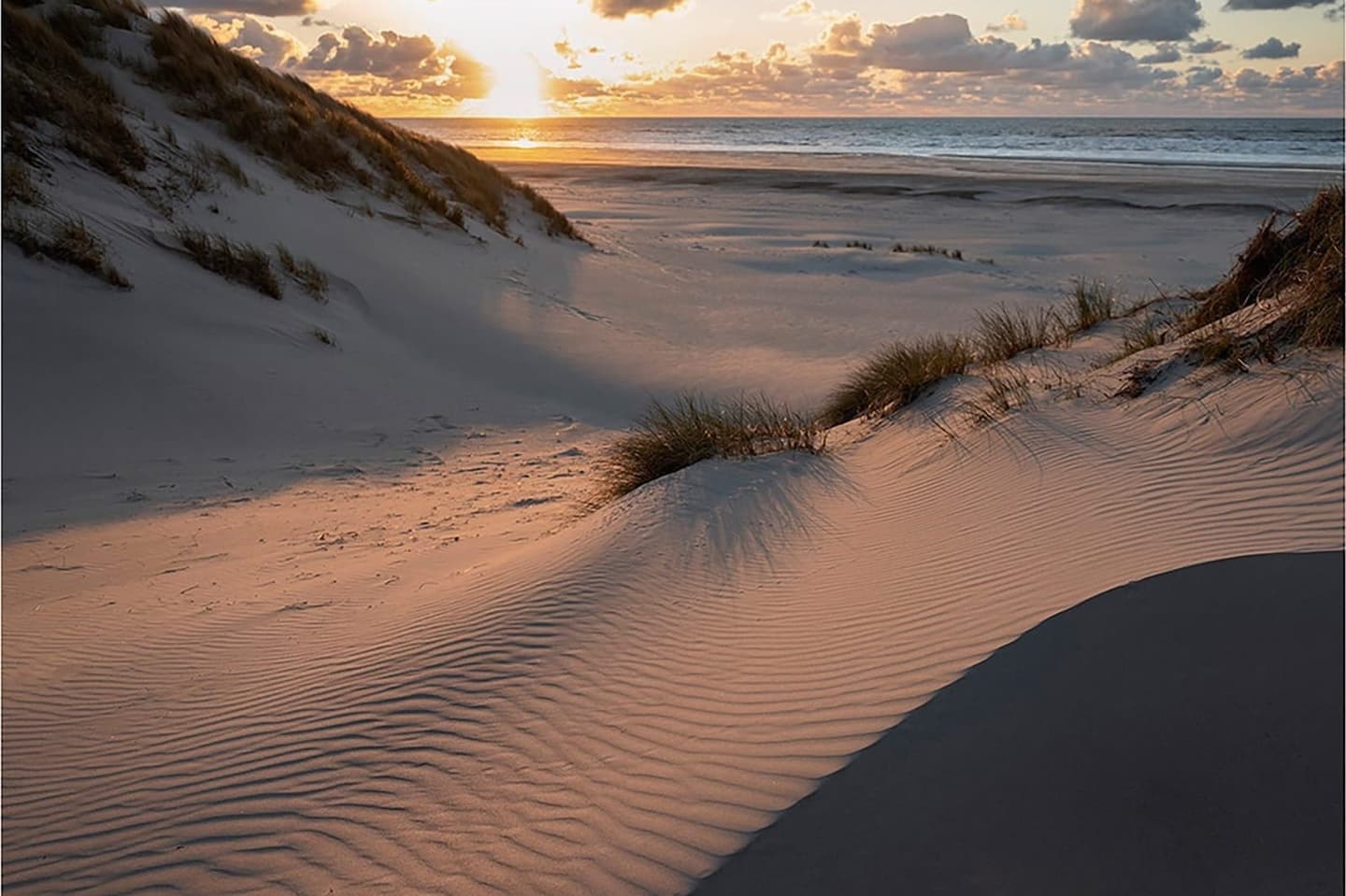 Duinen Terschelling, natuur rondom vakantiehuis Duinhuis verhuur