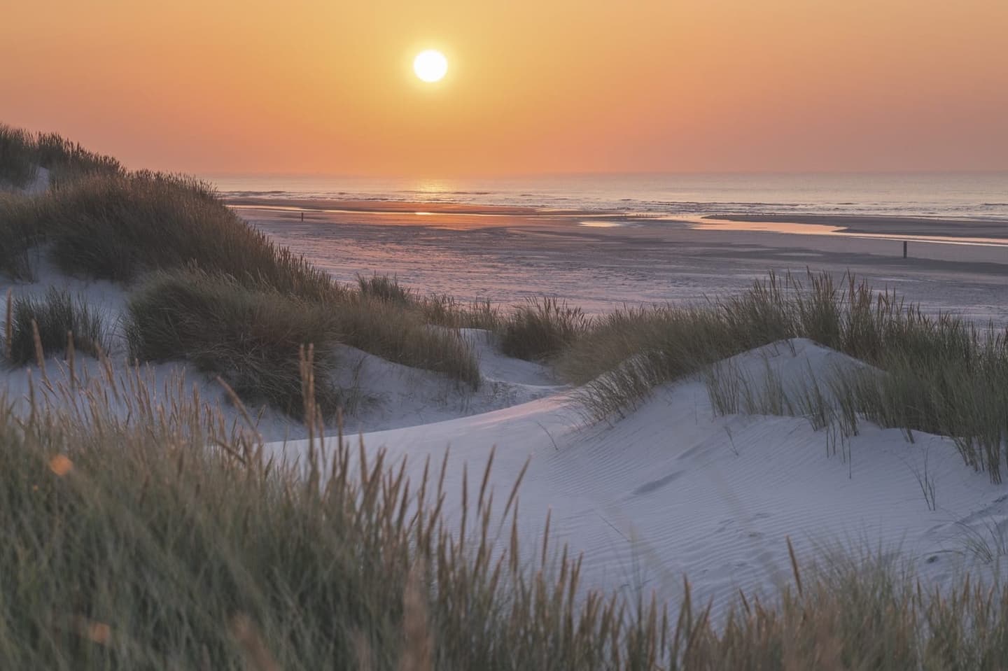 Duinen Terschelling in de zomer, wandelen Waddeneiland