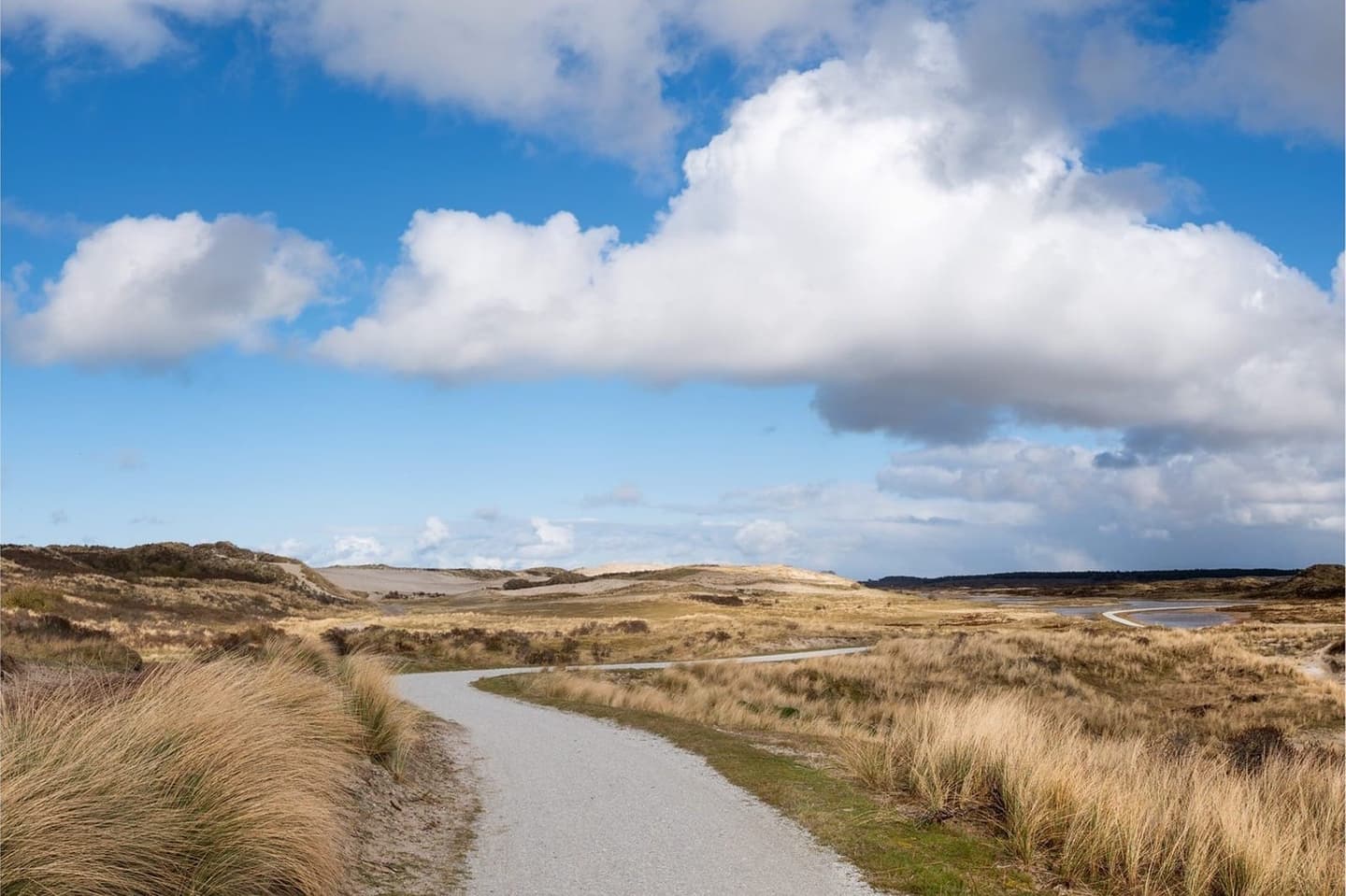 Duinen Terschelling, natuur rond vakantieverhuur Waddeneiland