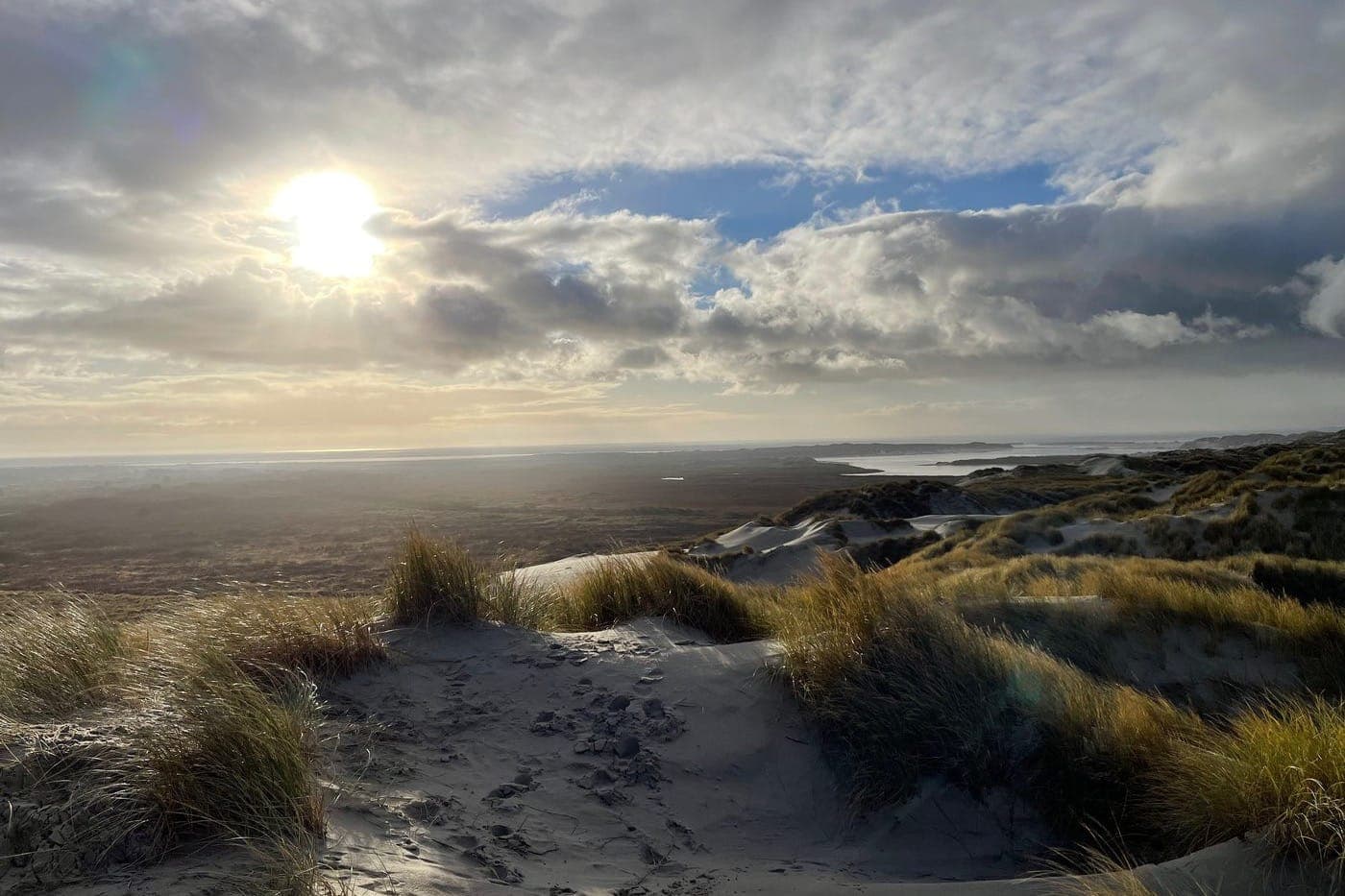 Duinen Terschelling in gouden avondlicht, natuur Waddeneiland