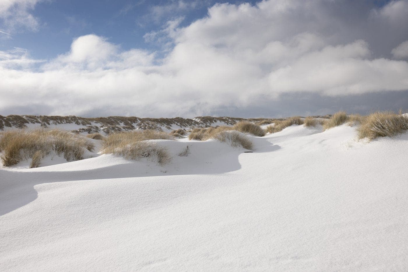 Duinen Terschelling in de sneeuw, vakantieverhuur alle seizoenen