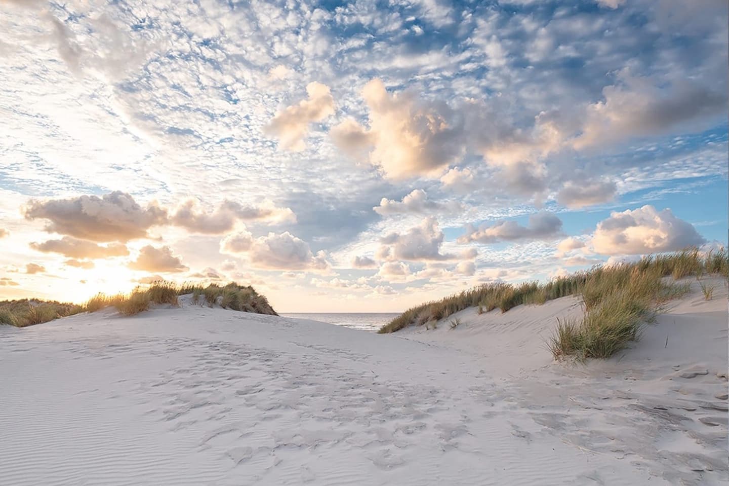 Strand Terschelling, verhuur vakantiehuis Duinhuis