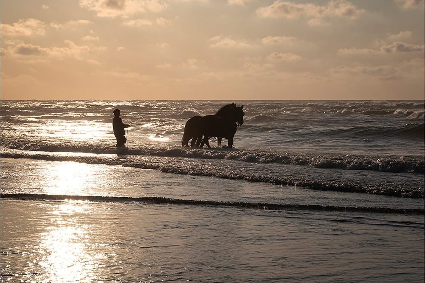 Breed strand Terschelling, Waddeneiland zomervakantie