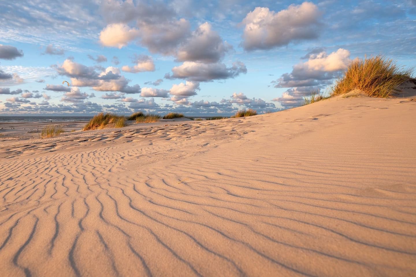 Strand Terschelling bij laagwater, vakantiehuis Duinhuis verhuur