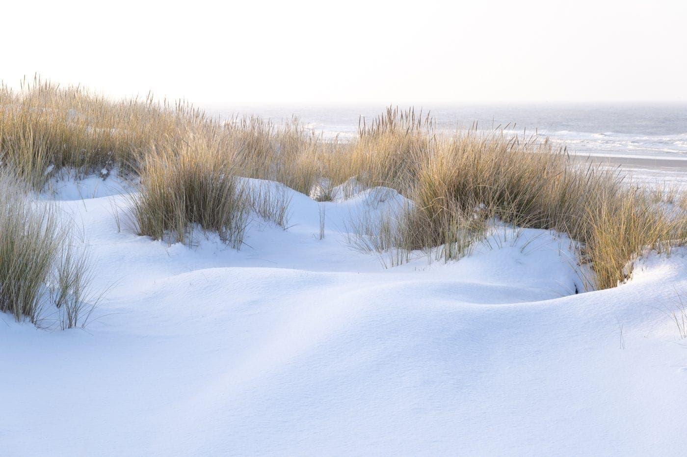 Winterstrand Terschelling, vakantieverhuur Duinhuis alle seizoenen
