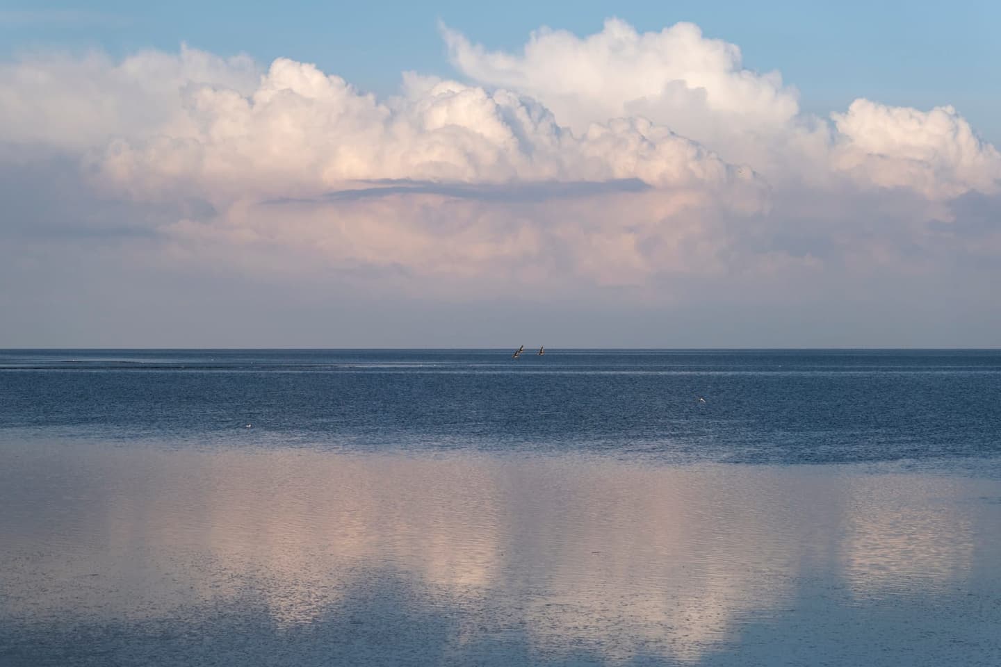 Strand Terschelling, vakantie aan zee bij vakantiehuis Duinhuis