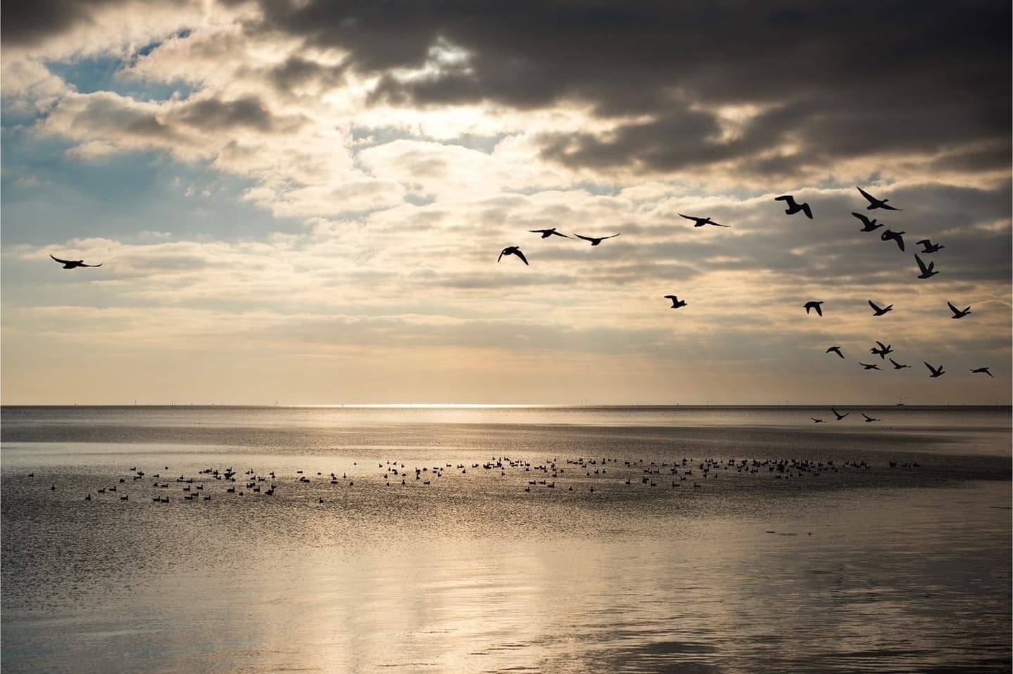 Wadden Terschelling bij avondlicht, Waddeneiland sfeer vakantie