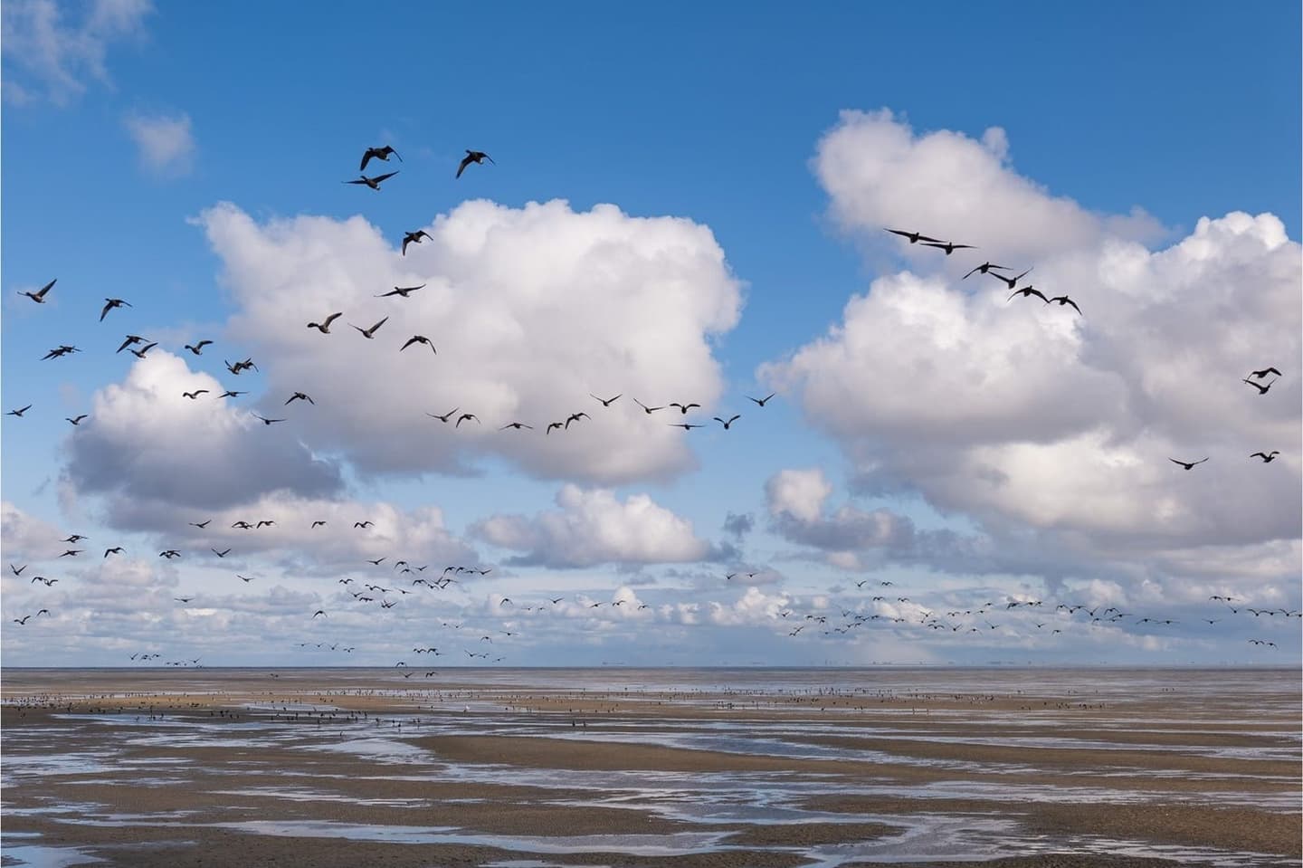 Waddengebied Terschelling, UNESCO natuur Waddeneiland vakantie