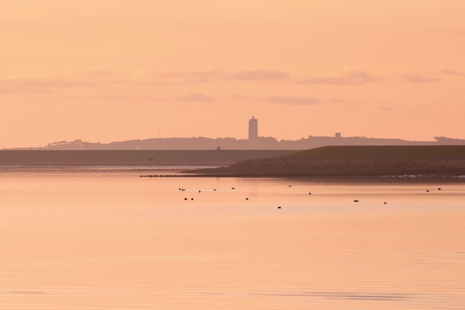 Waddengebied Terschelling in avondlicht, Waddeneiland sfeer