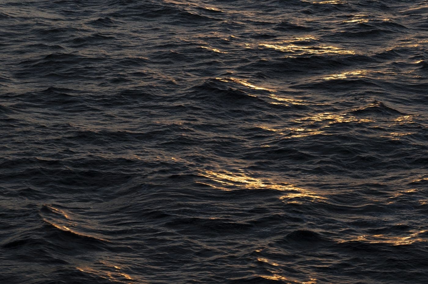 Donker waddenwater Terschelling in avondlicht, Waddeneiland natuur